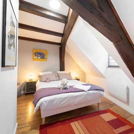 Les Lionceaux, 120M2 A Colmar, Place De Parking Gratuite Exteriör bild