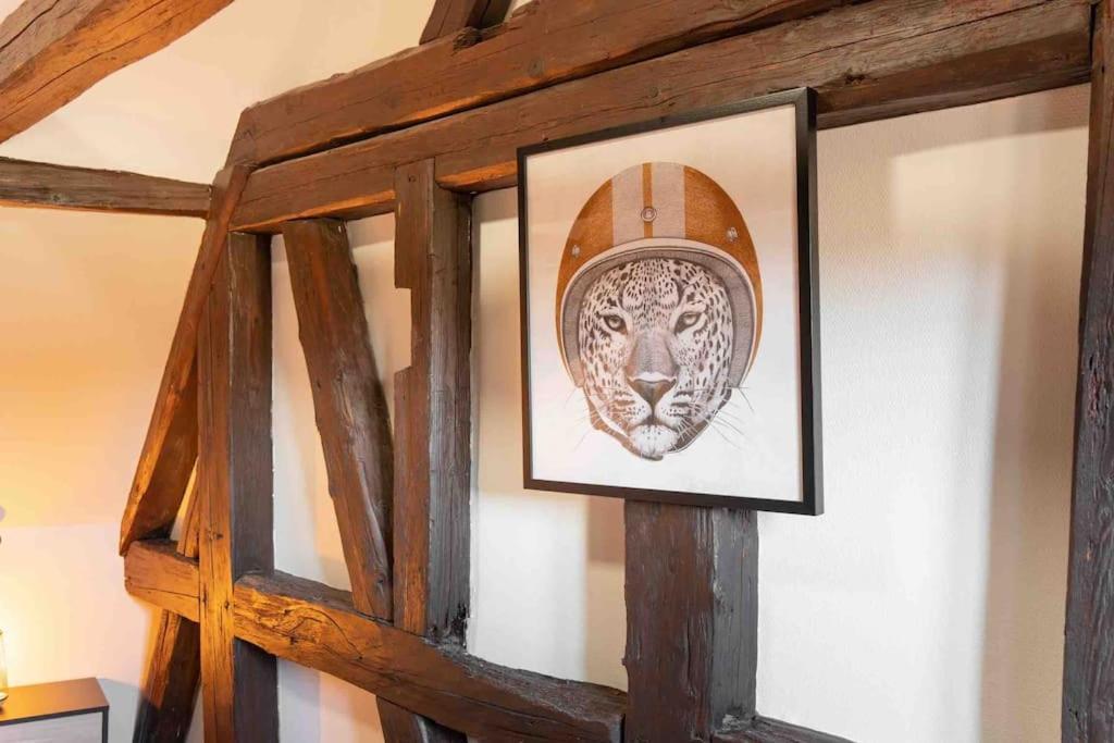 Les Lionceaux, 120M2 A Colmar, Place De Parking Gratuite Exteriör bild