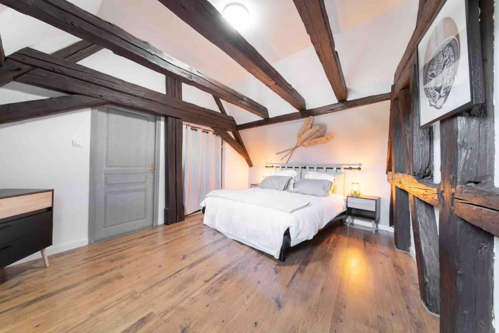Les Lionceaux, 120M2 A Colmar, Place De Parking Gratuite Exteriör bild