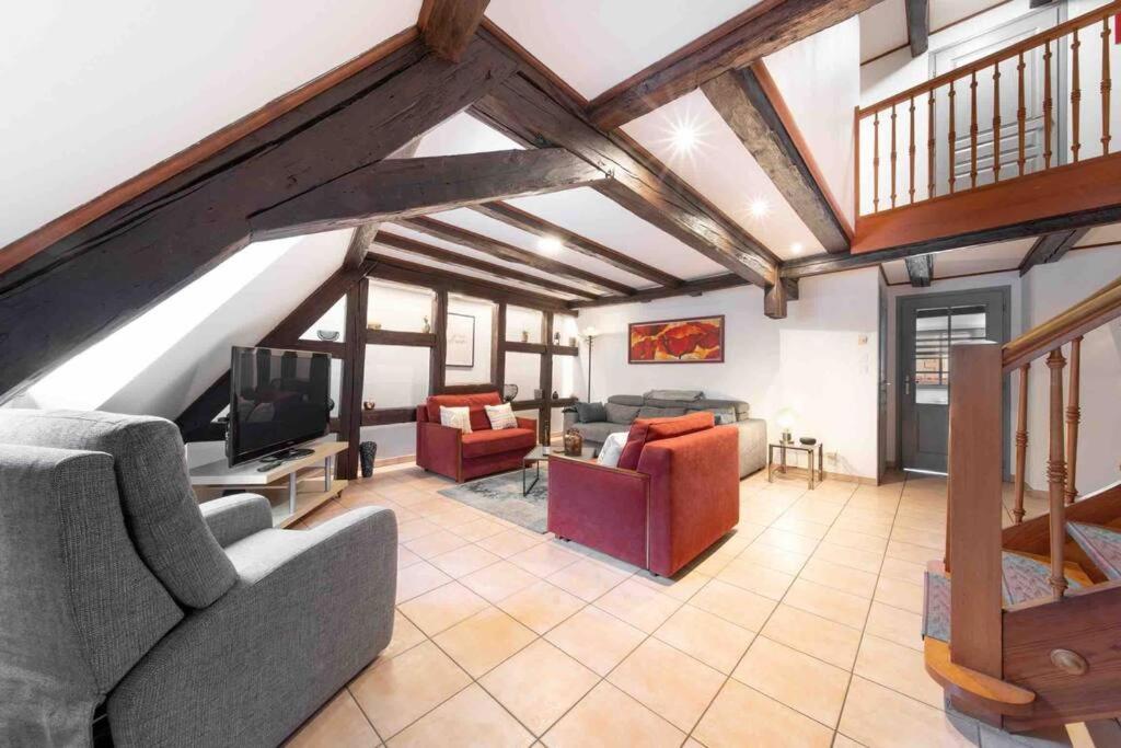 Les Lionceaux, 120M2 A Colmar, Place De Parking Gratuite Exteriör bild