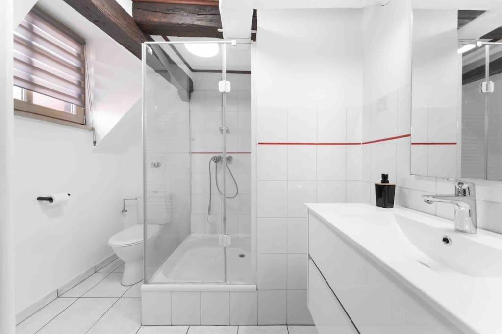 Les Lionceaux, 120M2 A Colmar, Place De Parking Gratuite Exteriör bild